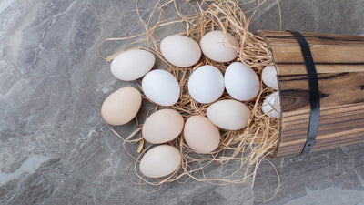 Best Places to Buy Fresh Eggs in UAE: Ensuring Quality and Taste