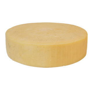 Organic Dairy (Latteria) Cheese