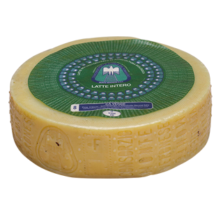 Organic Whole Milk Cheese