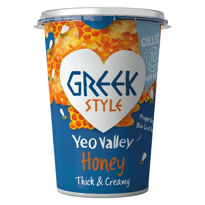 Organic Greek Style With Honey Yogurt 400G