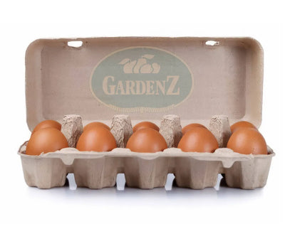 Organic Eggs - Pack of 10