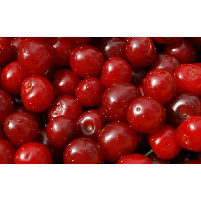 Organic Frozen Sour Cherry 2.5Kg