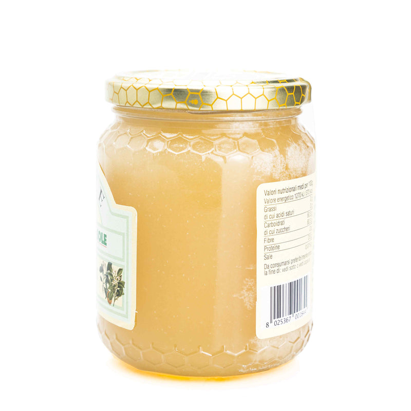 Organic Citrus Honey 500G