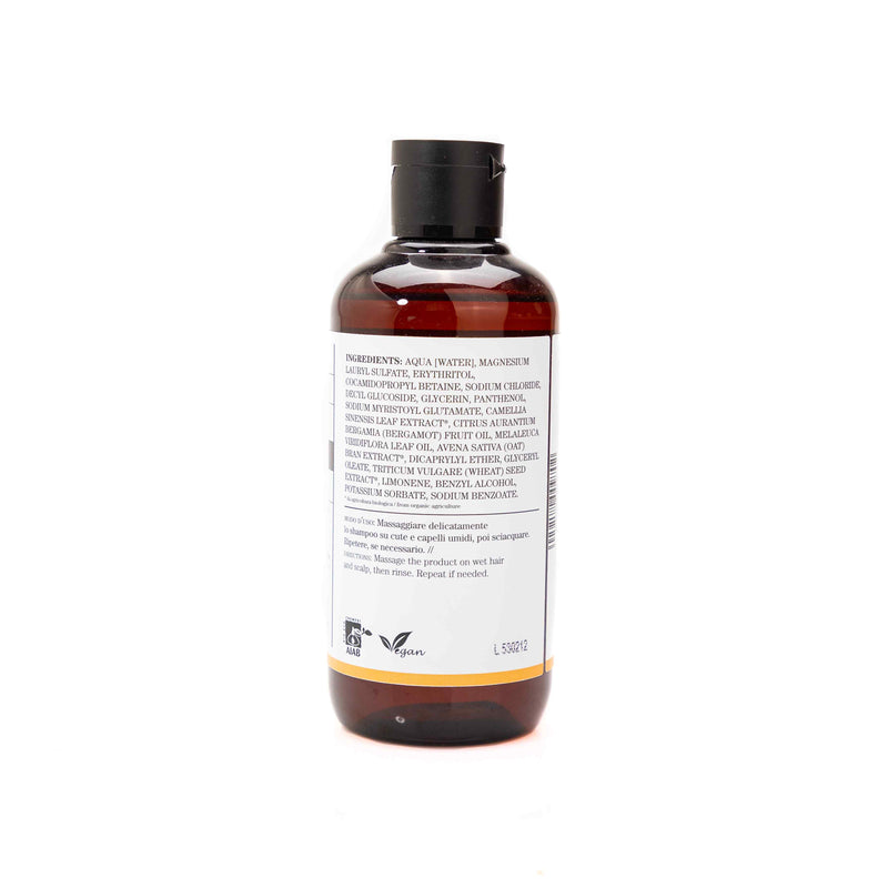 Organic Shampoo No Frizz 250Ml