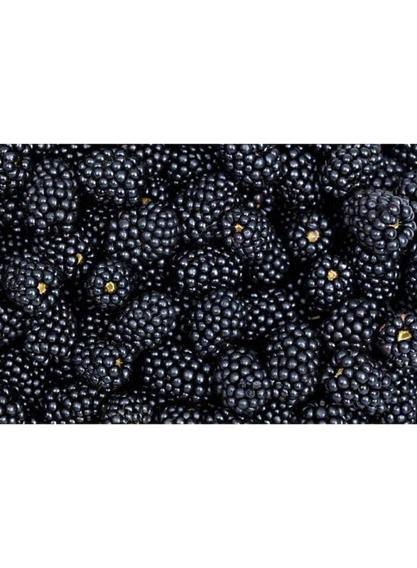 Frozen IQF Blackberries 2.5kg