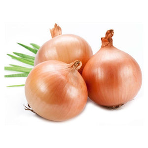 Organic Onion Yellow