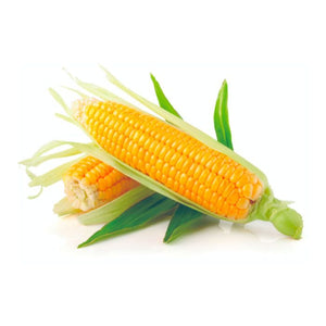 Organic Sweet Corn