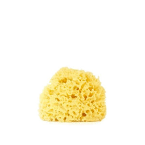 Natural Sea Sponge Small Size 